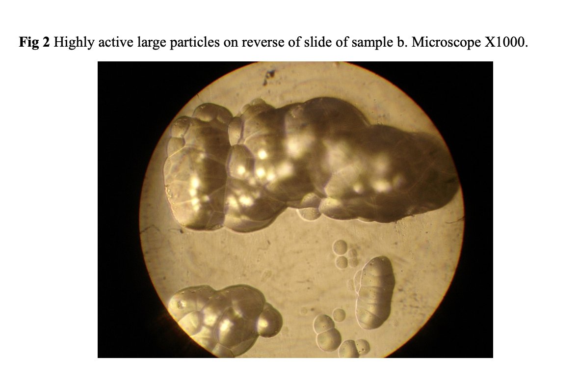 Korobochka (コロボ) 🇦🇺✝️ tweet media