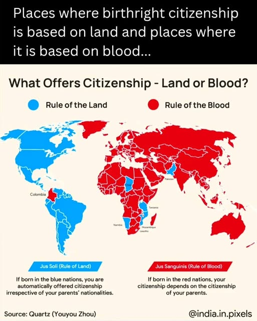 James Tate tweet media