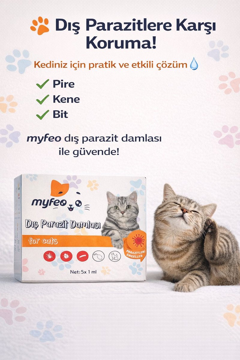 myfeopet's tweet photo. https://t.co/pujAfs6lG5