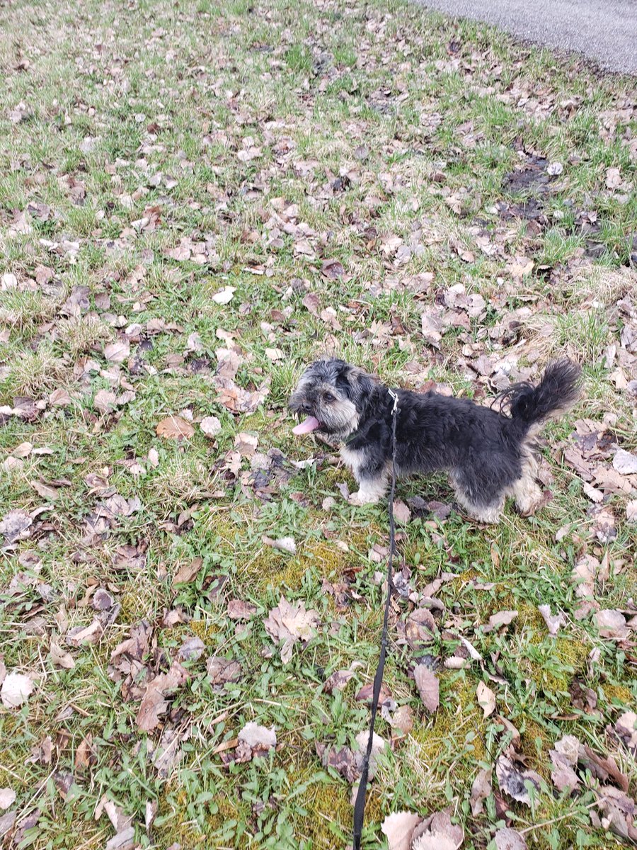 WeAllAteStardust tweet media