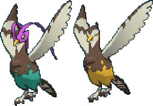 Oshawott Enthusiast tweet media