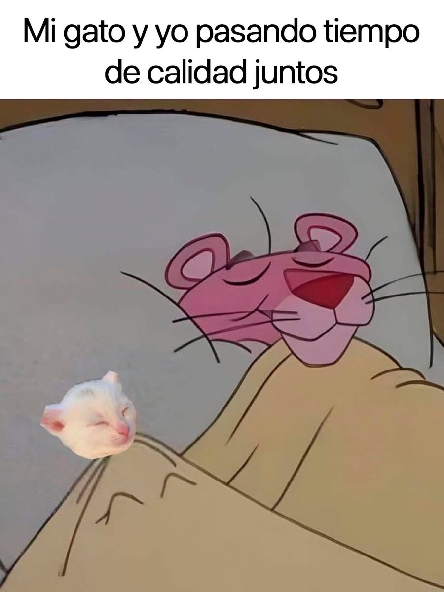 Cabronazi tweet media