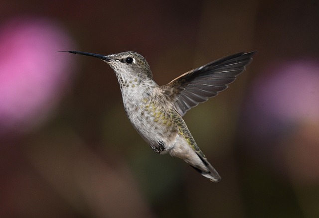 Tameka Davis tweet media