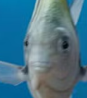 Jordan Nugem tweet media