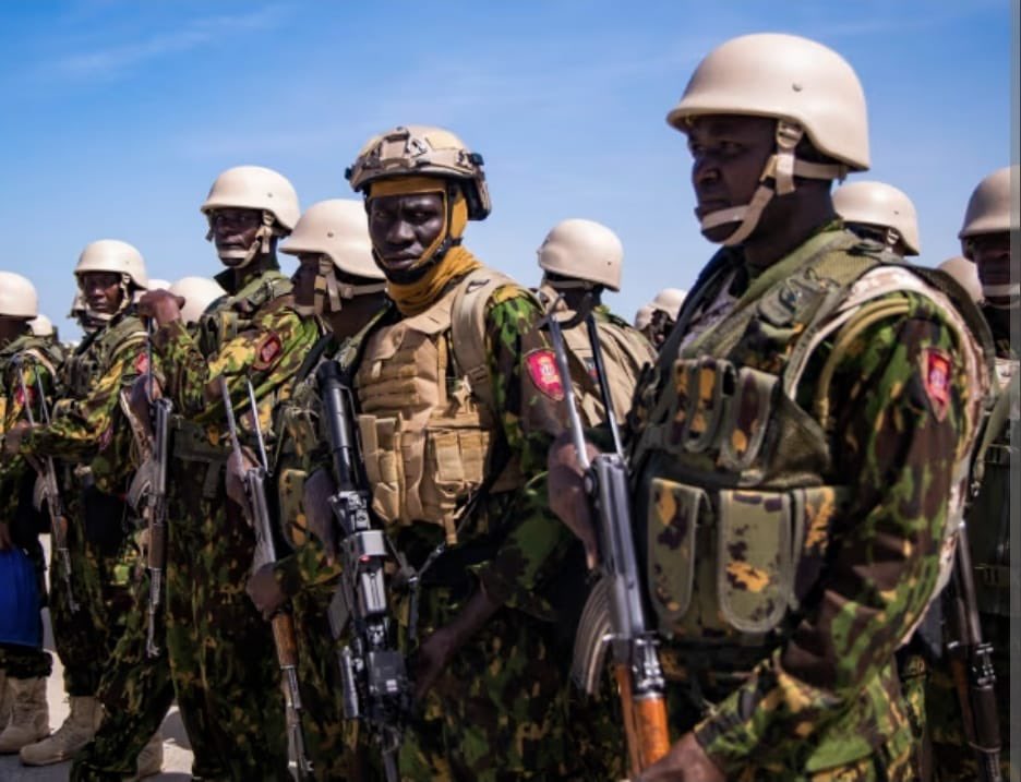 Radio Tele Signal tweet media