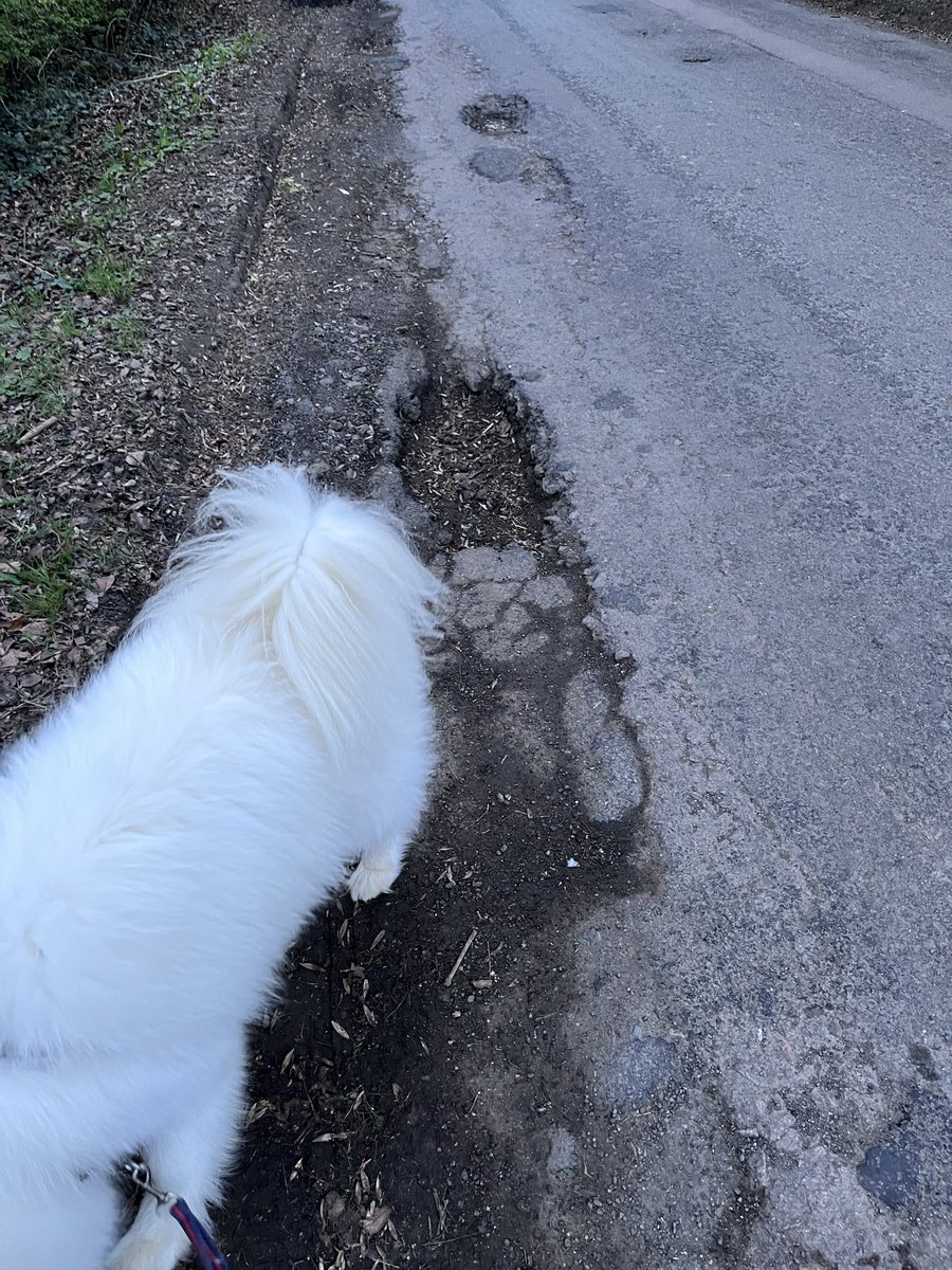 CuringPotholeBritain tweet media