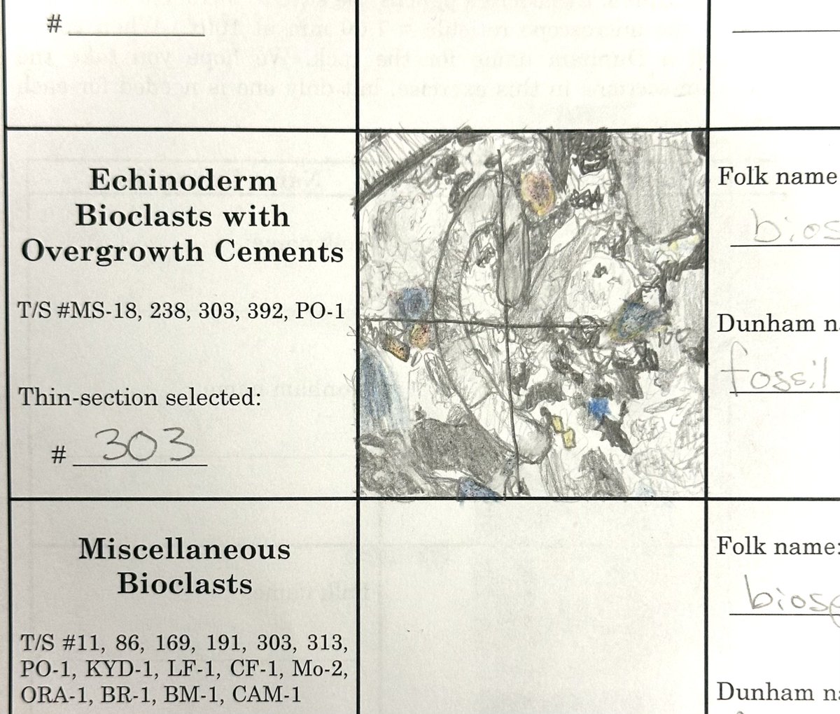 angel 🐾 tweet media