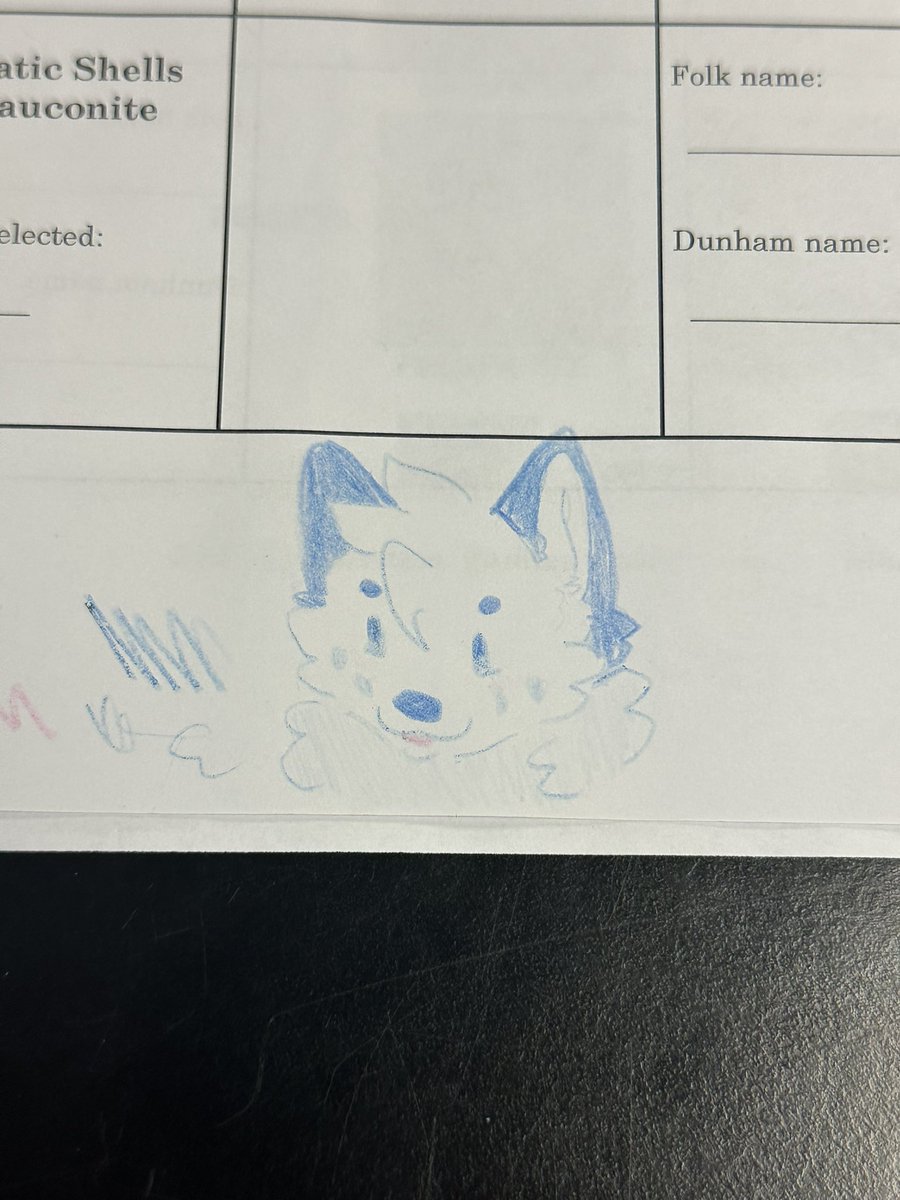 angel 🐾 tweet media