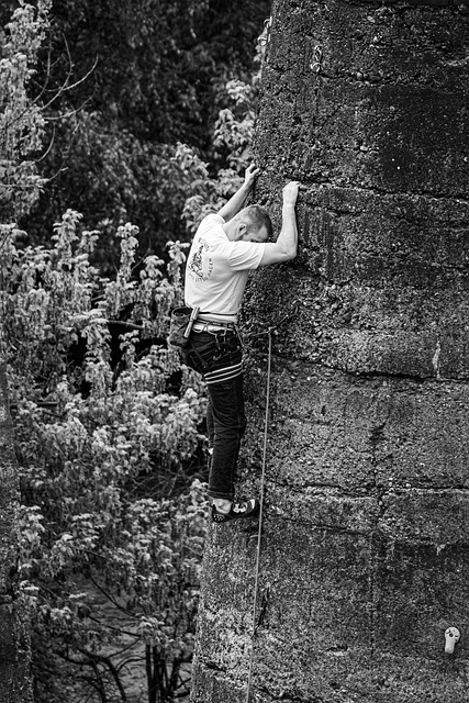 David Bahnan tweet media