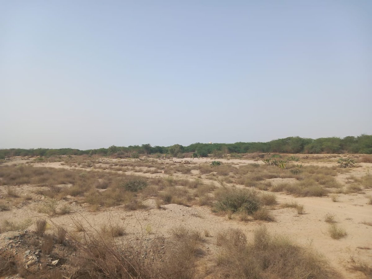 عمر بن ترحيب OmarTarheeb tweet media