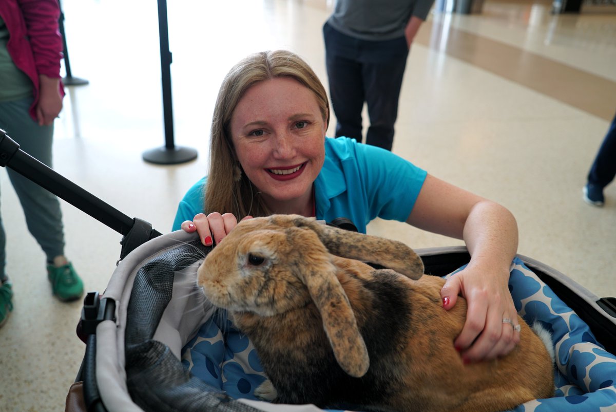San José Mineta International Airport (SJC) tweet media