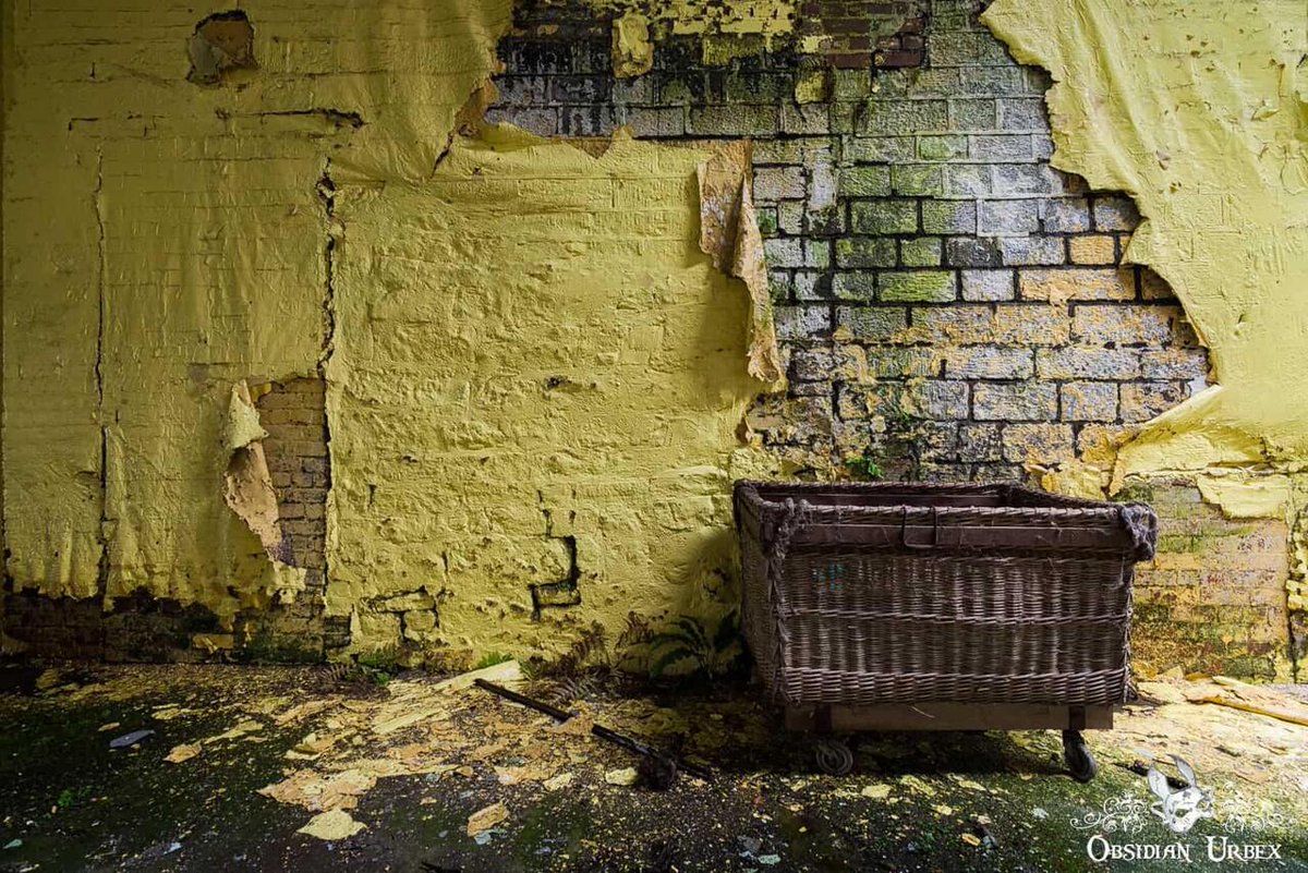 ObsidianUrbex's tweet image. 💛Beauty in decay. peeling paint, algae-covered brick, cheeky ferns and an old wicker trolley. Inside an abandoned paper factory, somewhere in England

#PeelingPaint #Abandoned #Photography