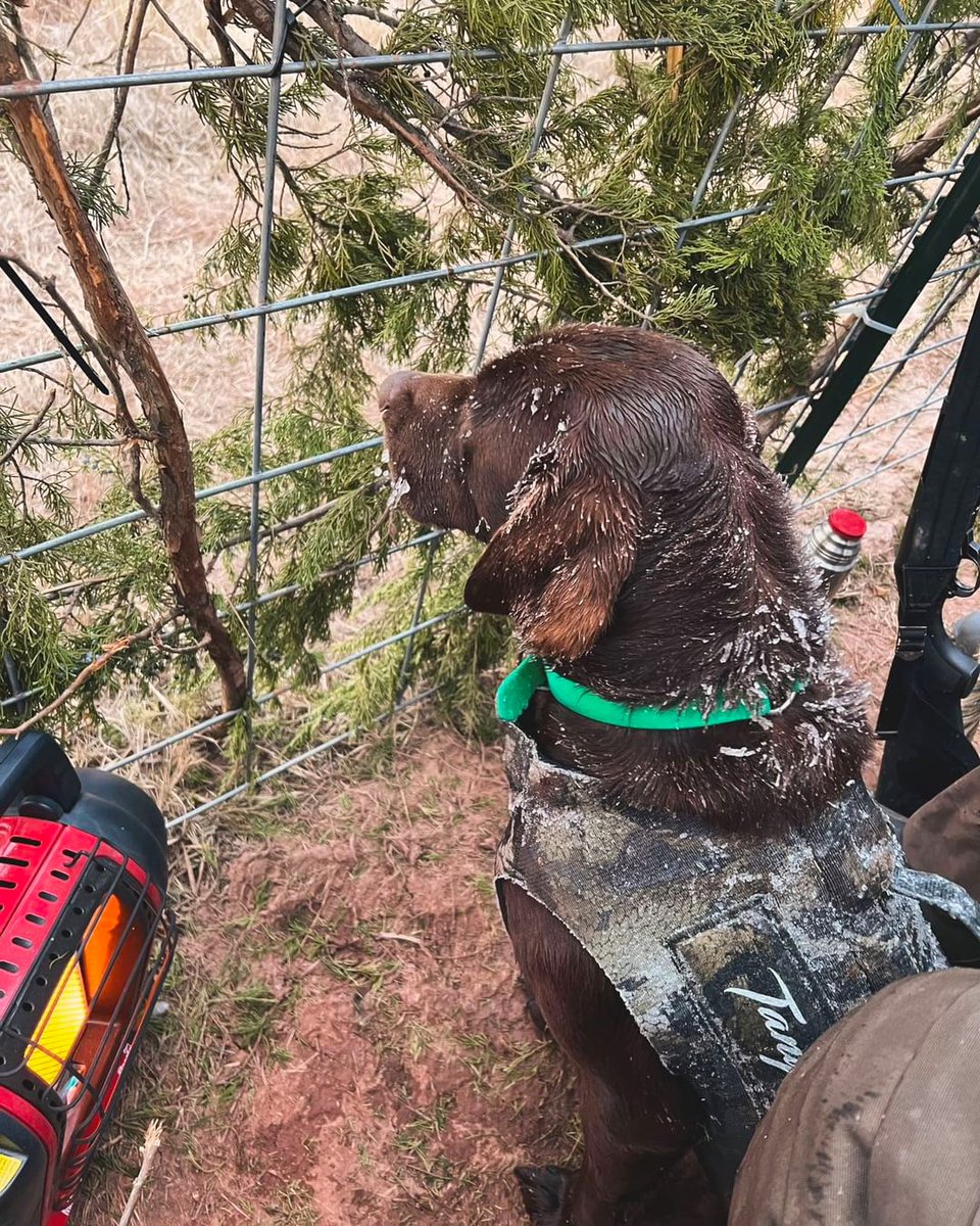 Mr. Heater tweet media