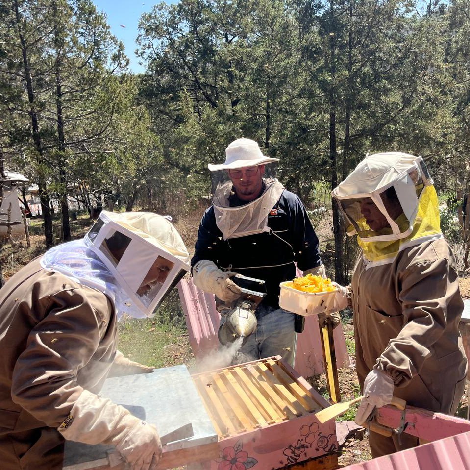 Somos MON tweet media