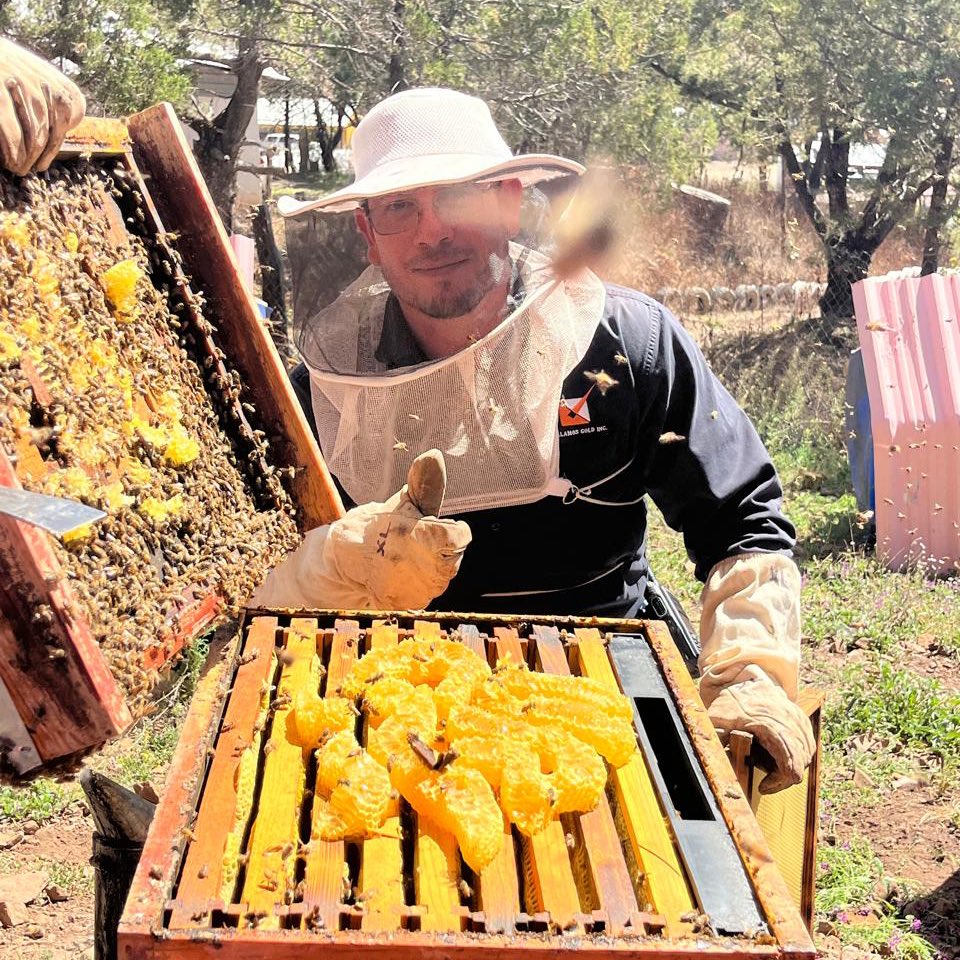 Somos MON tweet media