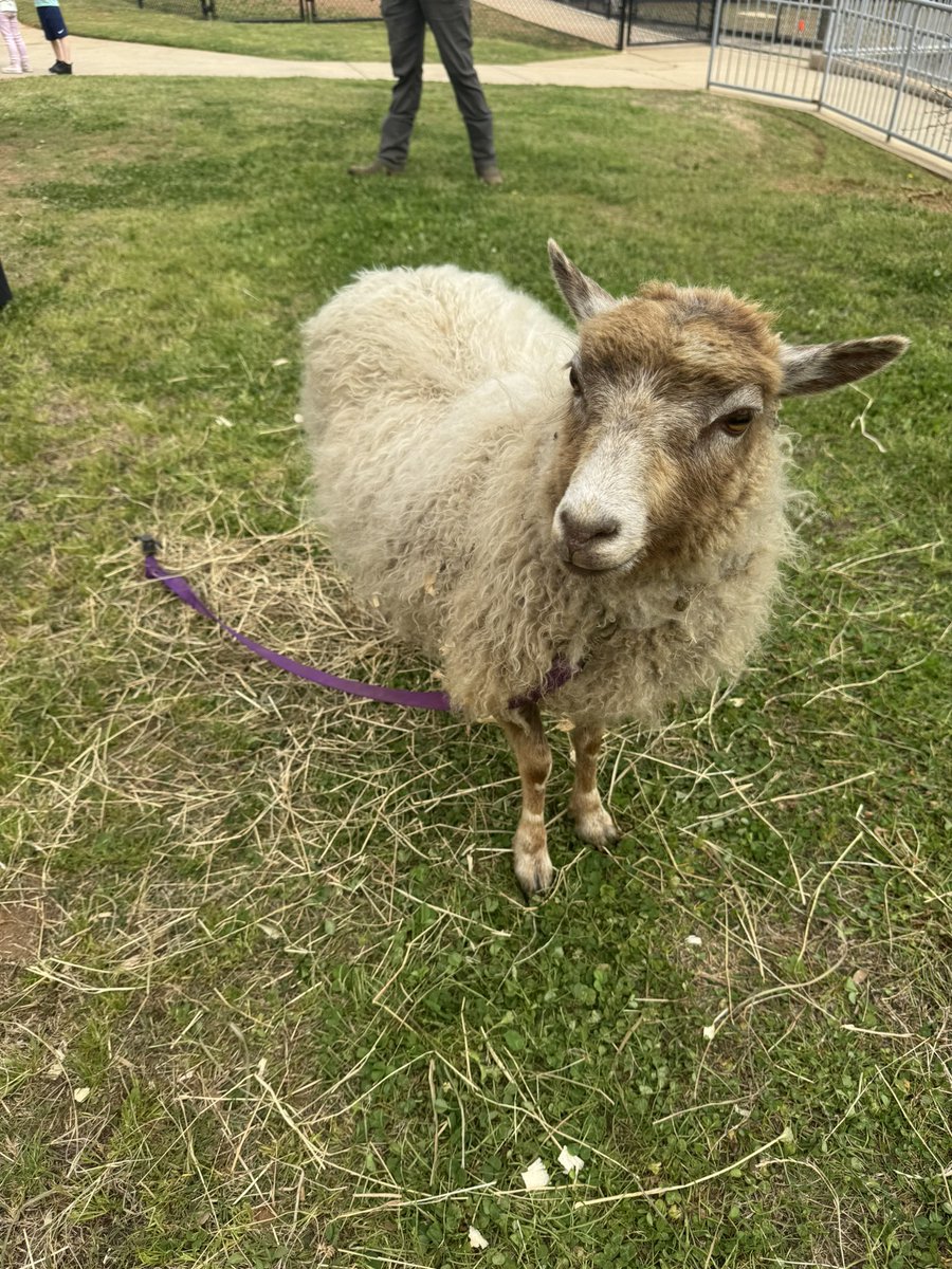 Melissa Goolsby tweet media