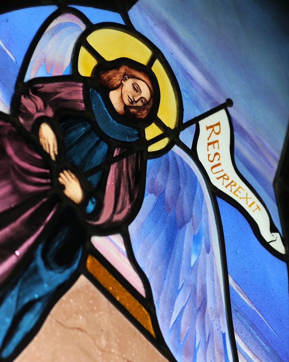 St. Mark's College tweet media
