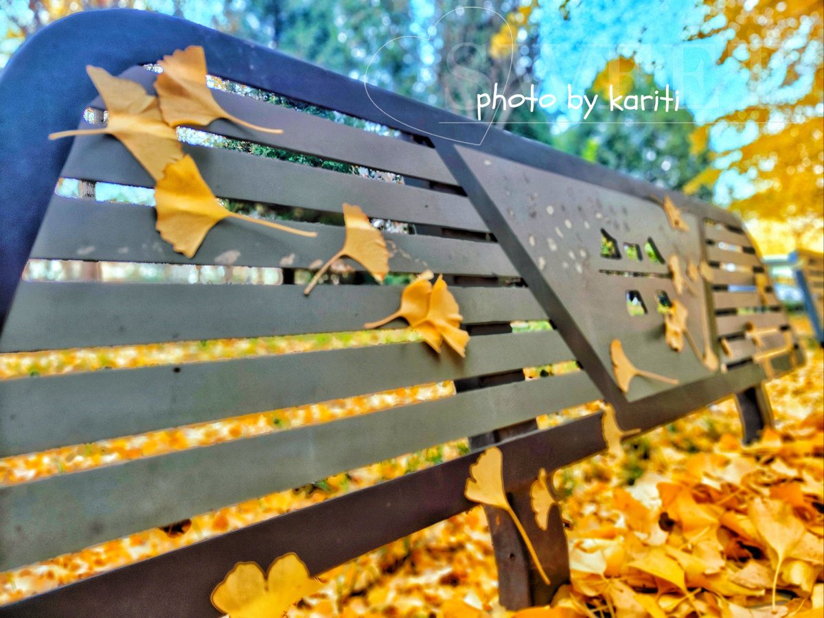 ارحم من في الارض tweet media