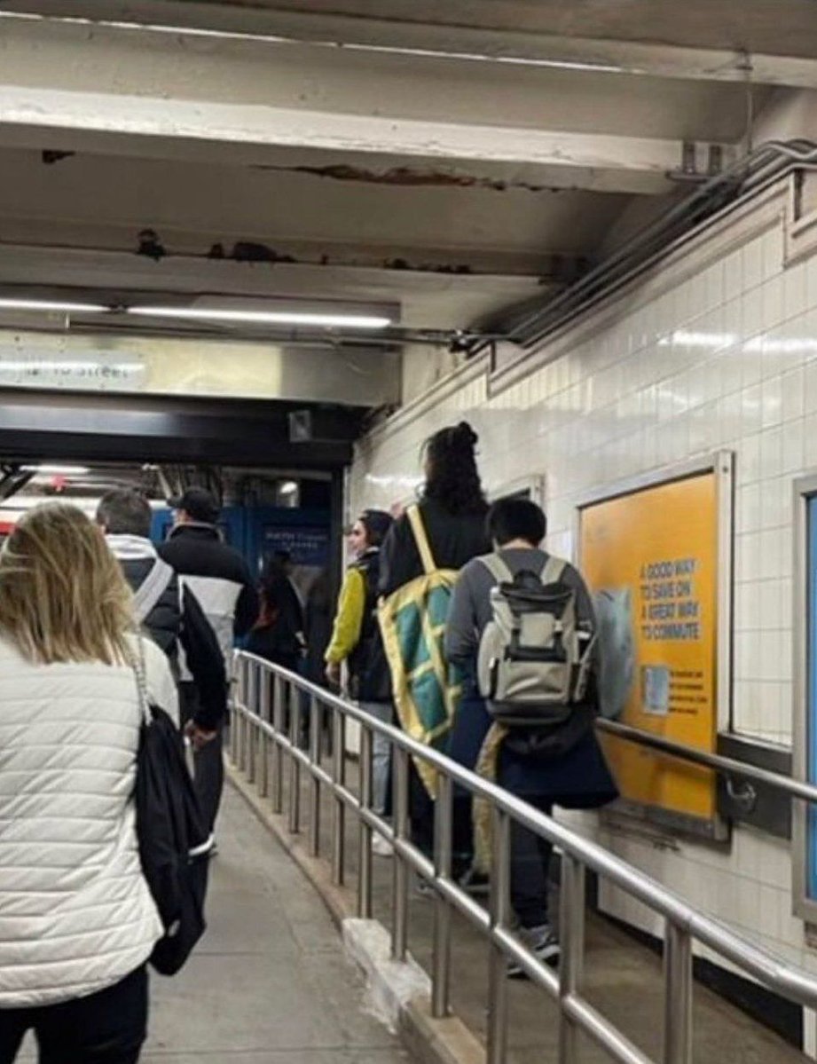 Anime Posts tweet media