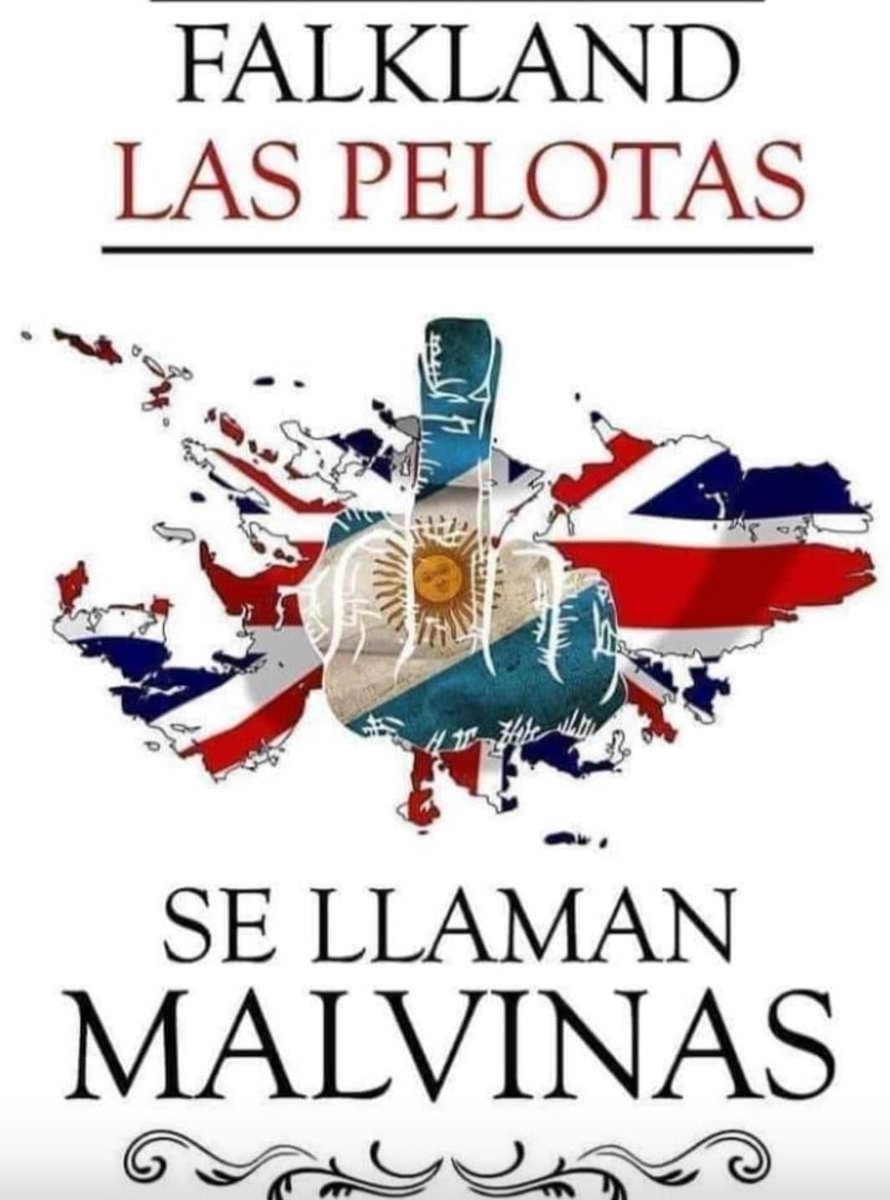 Daniel Stella tweet media