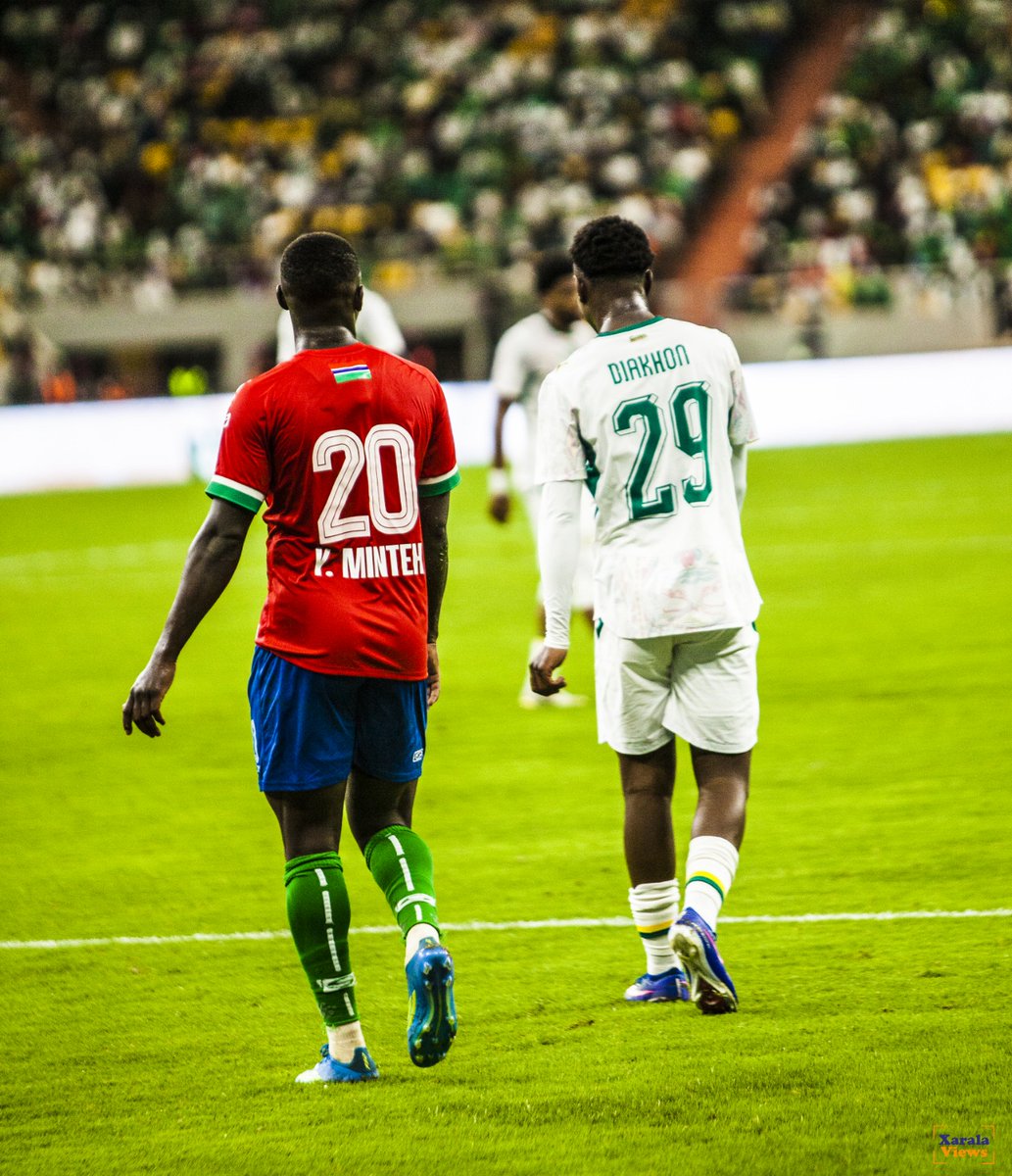 Xarala Views tweet media