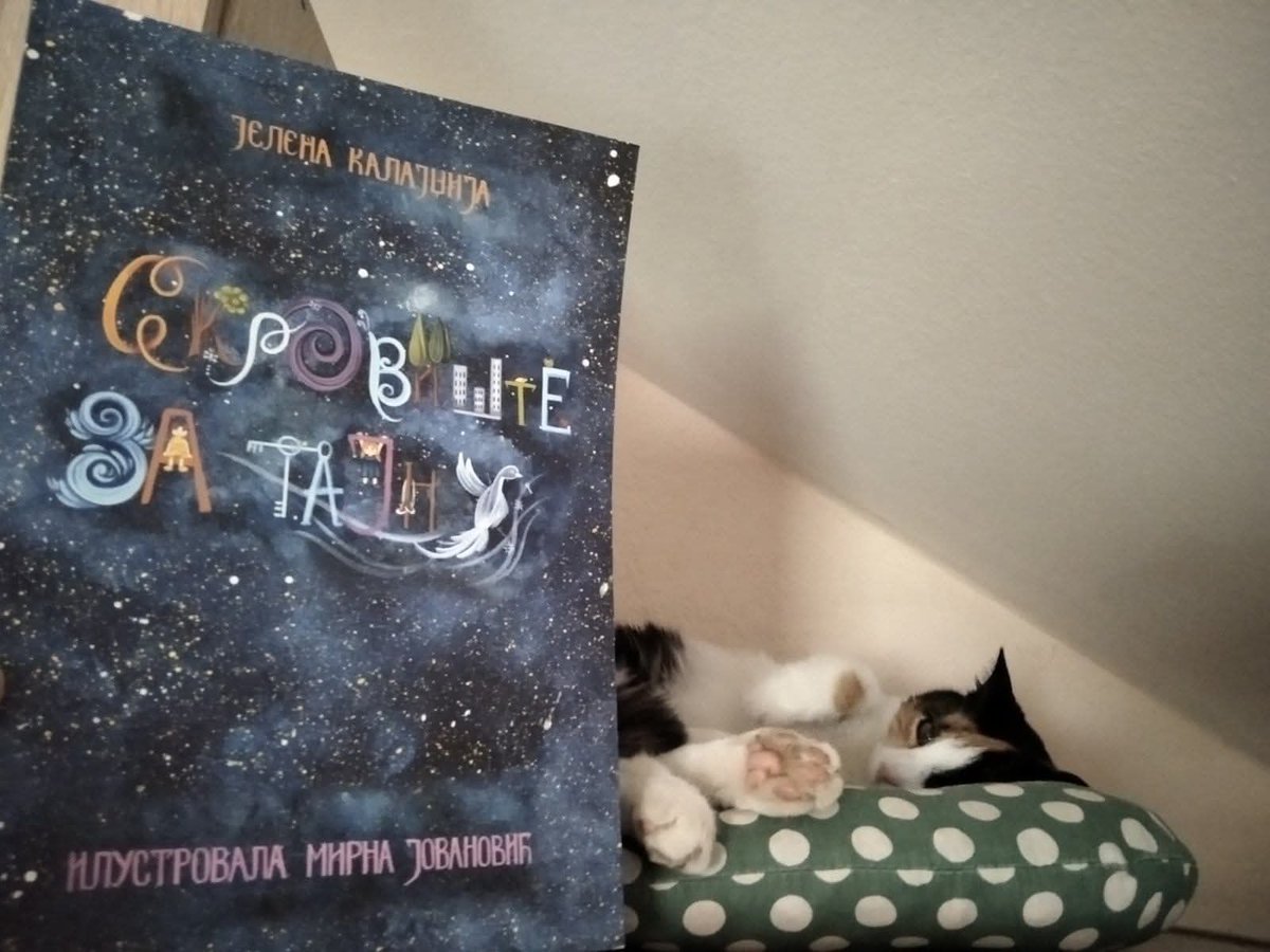 Berislav Blagojević tweet media