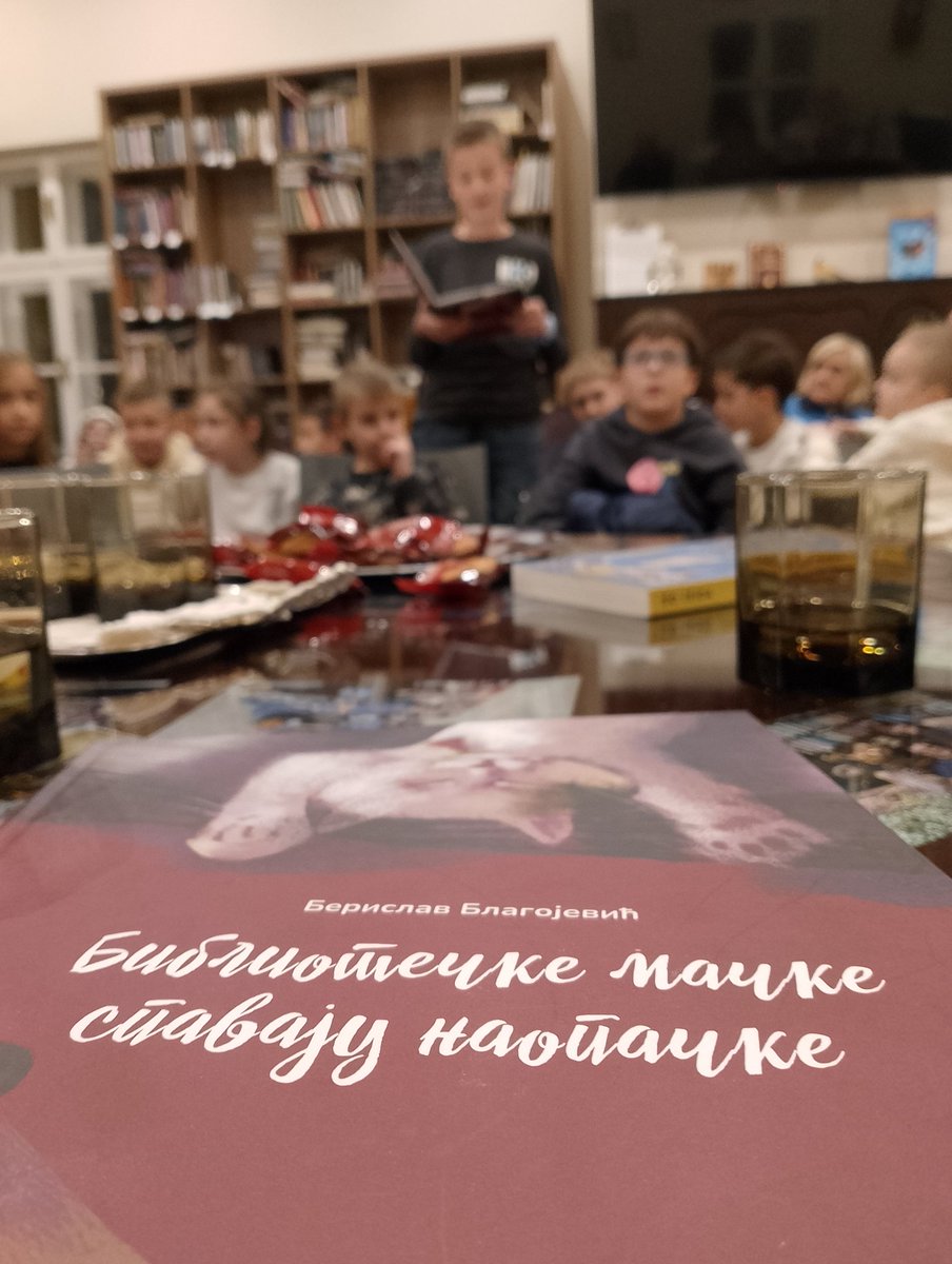 Berislav Blagojević tweet media