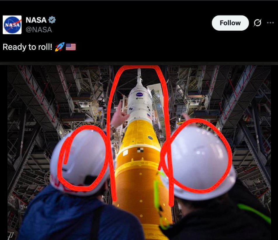 Sam Finkaboutit 🐻 tweet media