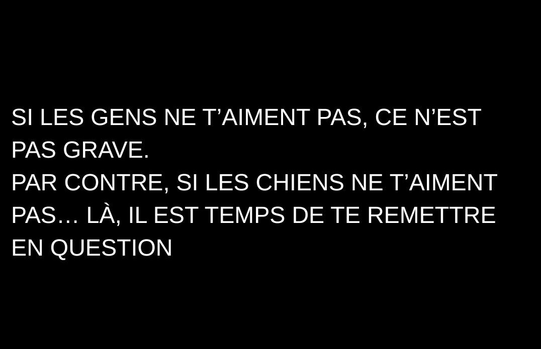 Sofia 🇫🇷🇵🇹🇵🇸 tweet media