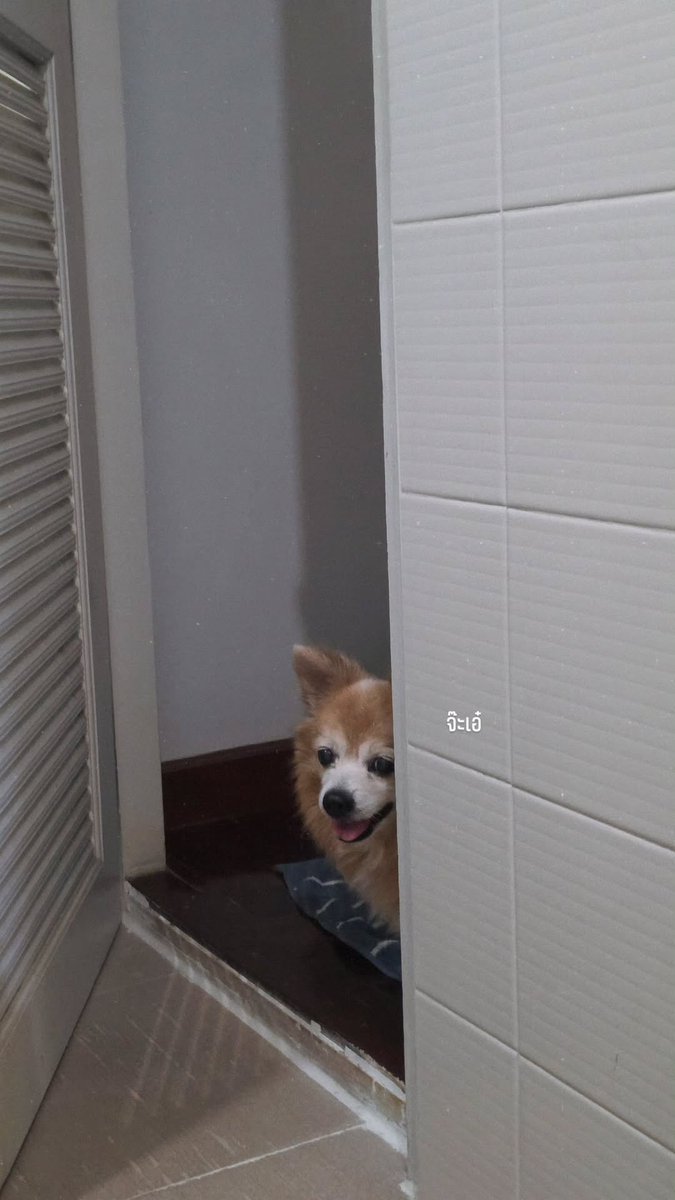 EmiBonnie Thailand tweet media