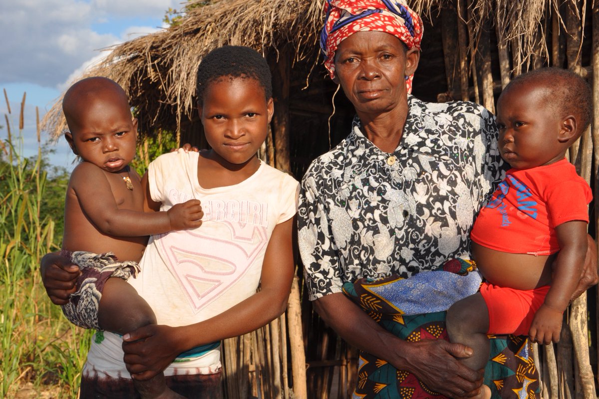 MFAN News tweet media