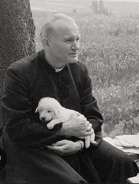 Bogdan Rymanowski tweet media