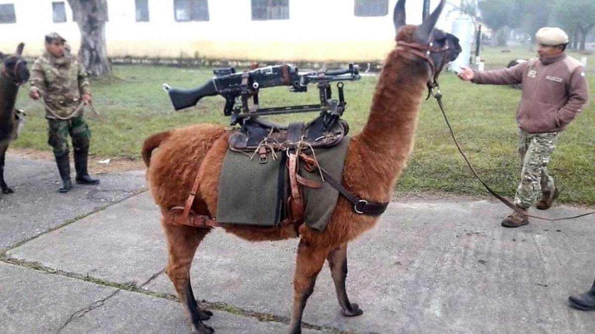 Fran Hubert tweet media