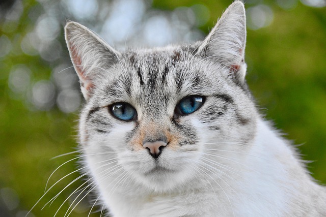 Rosa Freeman tweet media