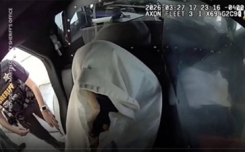 shark memes tweet media