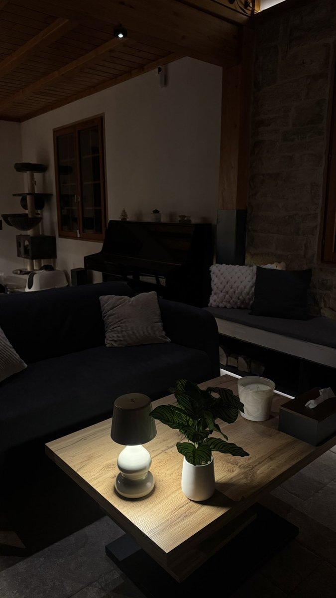 aigristiti 🐒 tweet media