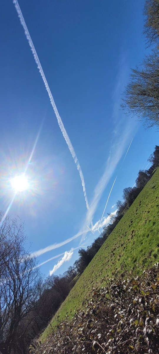 ANGRYNIC tweet media