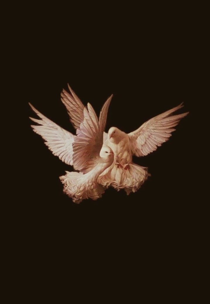 🏛️⚡️ tweet media