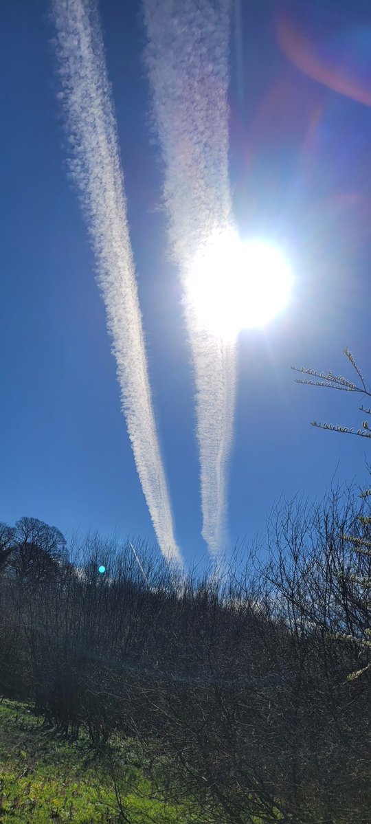 ANGRYNIC tweet media