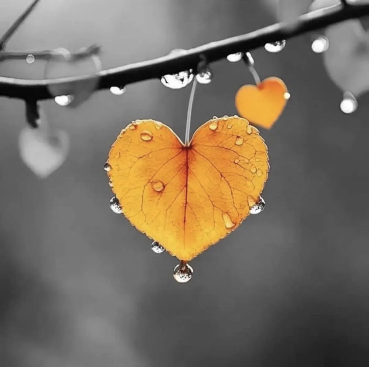 Alita 🫶 tweet media