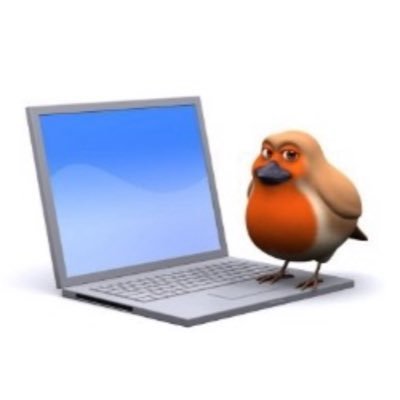 Titi 🖖🚩 tweet media