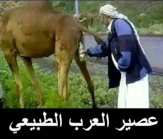 Bargiran tweet media