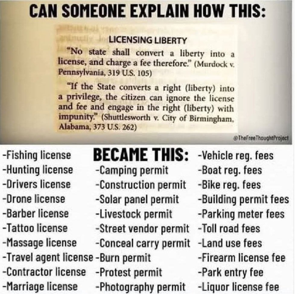 TruthfangRising tweet media