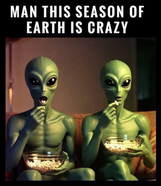 Name? Klar! tweet media