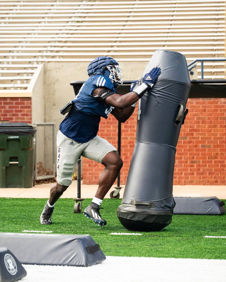 Georgia Southern Football tweet media