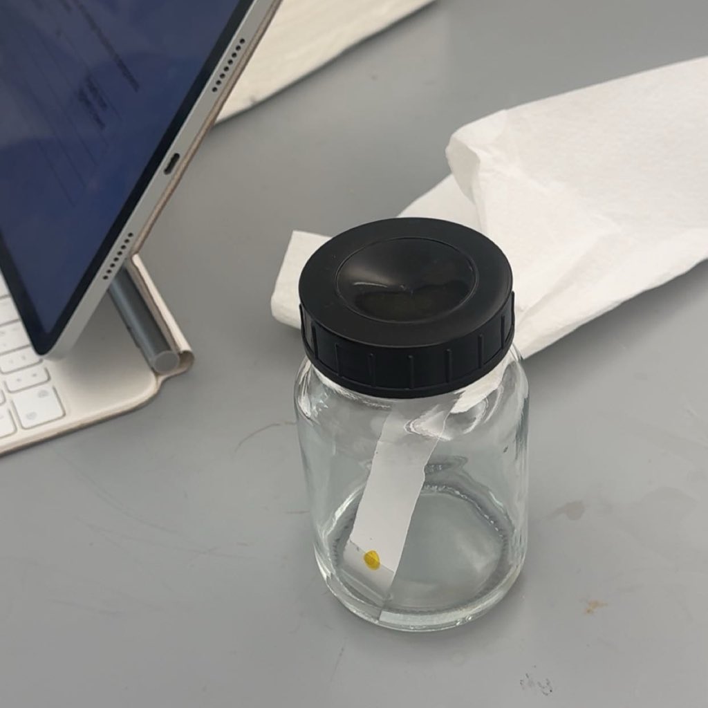 هيَا tweet media