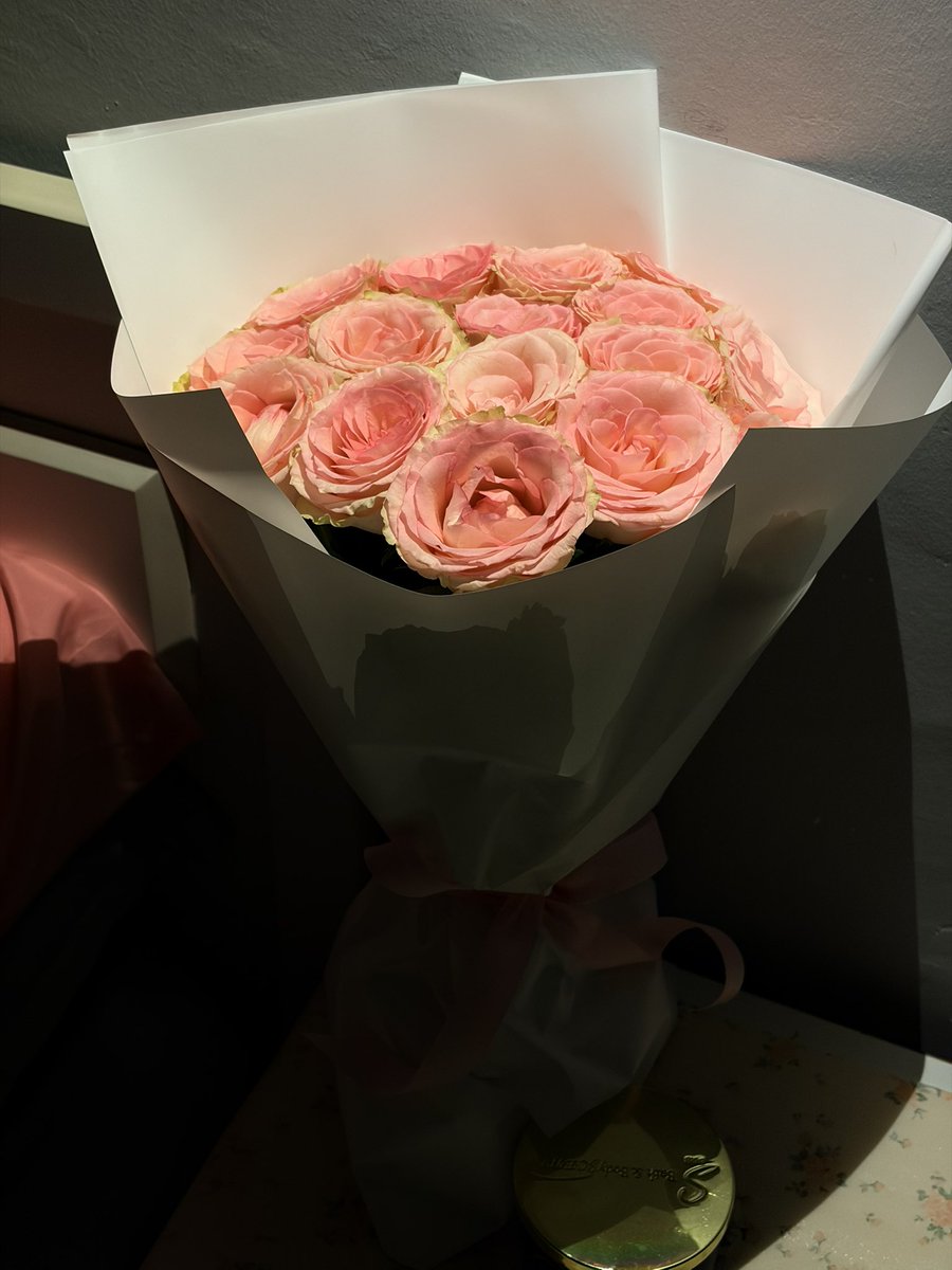 سجى . tweet media