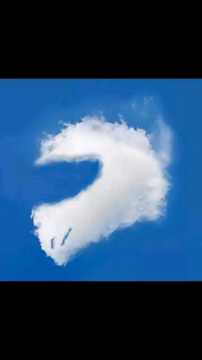 Chain⛓ tweet media