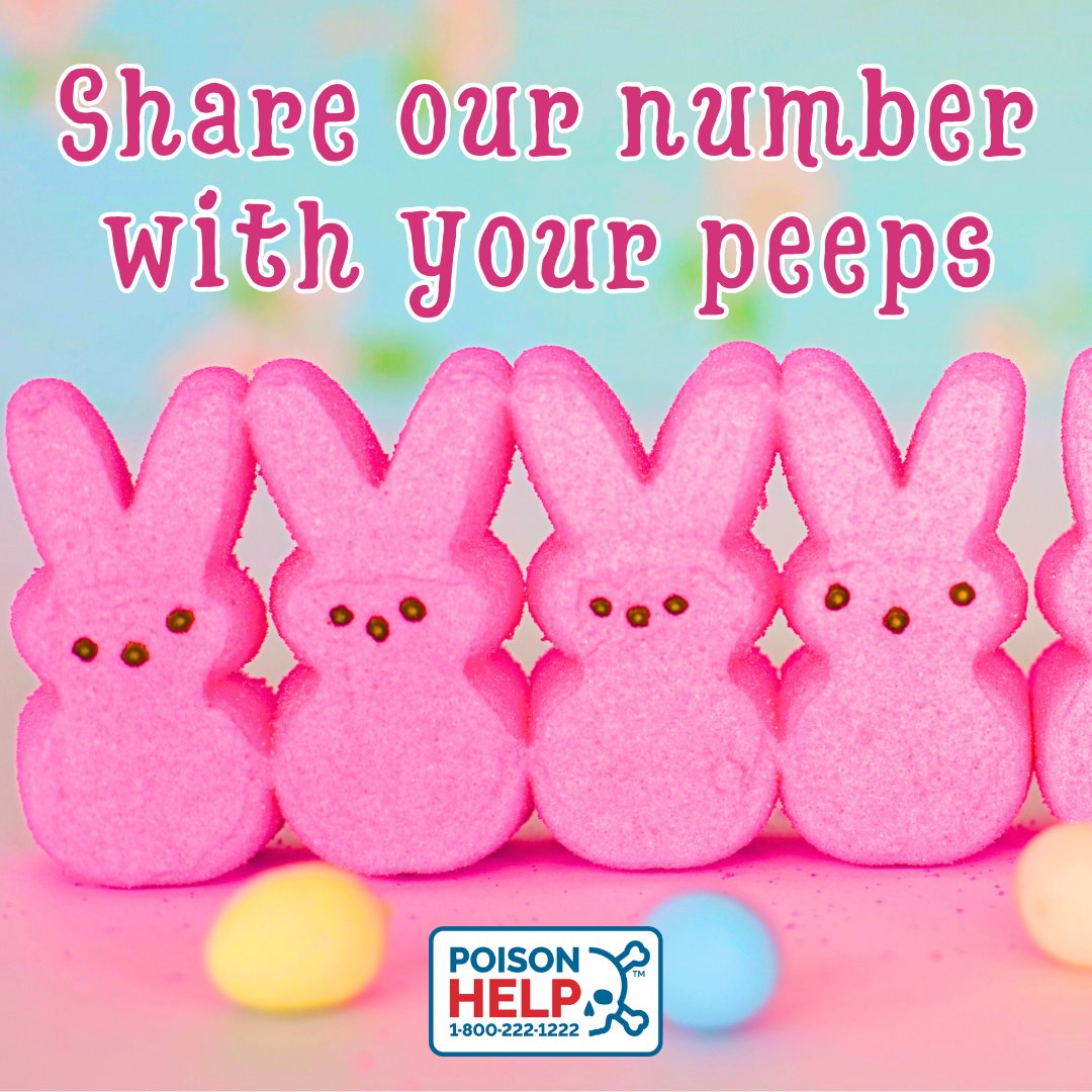 nm_poison's tweet photo. Poison center services are available 24 hours a day, 7 days a week, and on holidays! Our experts will happily assist you with all poison-related needs and inquiries this #Easter Sunday. Call 1-800-222-1222, and don't forget to save our number under your cell phone contacts. https://t.co/aikuISY3xd