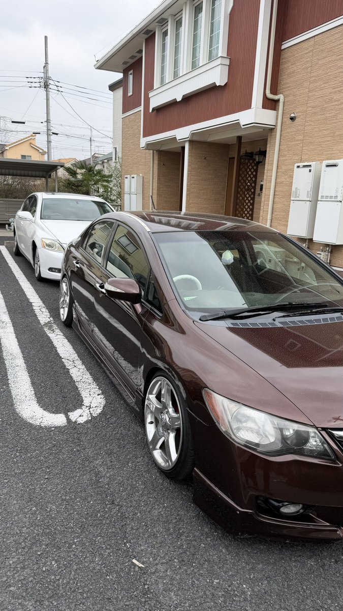 ﾑｸ老 えこぉ tweet media